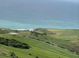 Nilamane