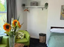 Sunny and Comfortable Studio