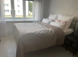 Oja 29 apartment