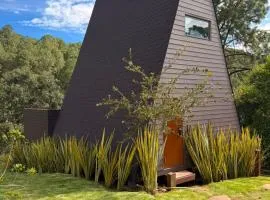 La Estela NatureSuite
