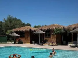 Windmill Shkodra Gesthouse Camping & Grill