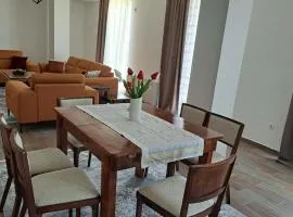 Central Tikveš apartment