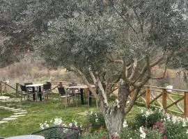 Bujtina Topi -Wooden villa among olive grooves