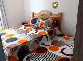 apta estudio al norte de armenia 204