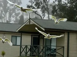 Eaglehawk Park Canberra