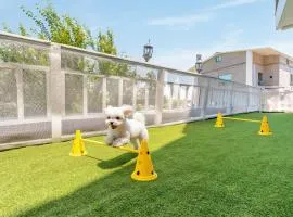 Geoje Blueberry Pet Pension