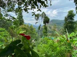 Bliss In Viya ella