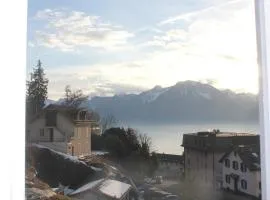 New appartment Design Montreux