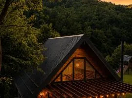 Alpas forest house