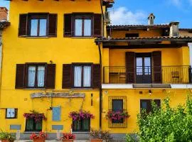 Spighe Paglia e Girasole