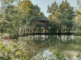 cabanes perchees dans les arbres