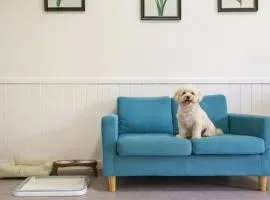 yangpyeong beulleosseom pet spa pension