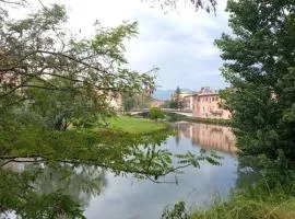 Barilotto 16