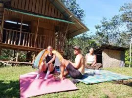 WOOD CABIN LODGE IN THE FOREST book here treking with us