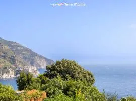 Stone For Life, Terre Marine