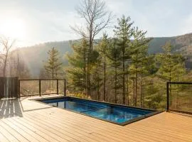 Fawn Hill Elevated Log Cabin w Year-Round Pool