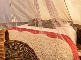The Belle Tent