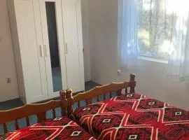 Velika udobna kuća pored etno sela