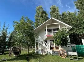 Entire 2BR cottage - NONALCOHOLIC - in an apple orchard near river