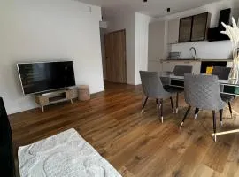 Apartament ul Jodłowa Malinka