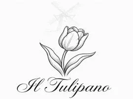 Il Tulipano