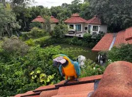 Navari Homestay
