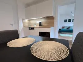 Apartmán Palackého sady - pohoda v srdci města