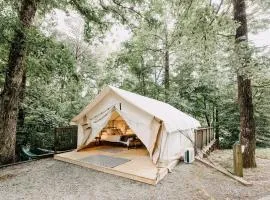 Safari Tent with Fire Ring & Outdoor Hammocks in Dawsonville, Georgia