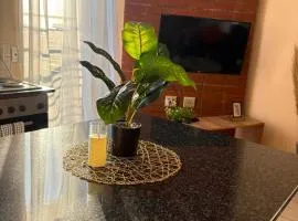 Johannesburg apartment