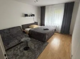 Modern Apartment with Projector & Free Parking