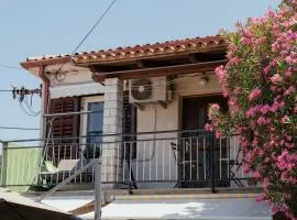Apartma Severada