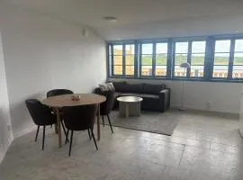 Modern Apartment with Sea View in Herrvik
