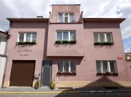 Libušina Villa