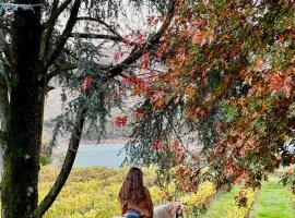 Quinta Linhas da Primavera