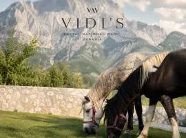 Vidis Chalet Boutique Hotel