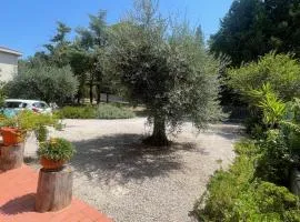 La Corte delle Marche