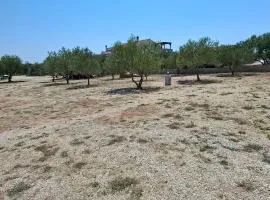 Camp Oblica - parcela - empty plot