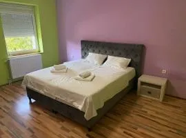 Villa Fruska Gora Cortanovci