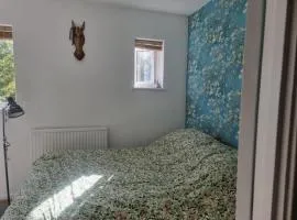 Cozy room in a house in SE London - shared facilities
