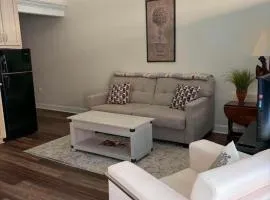 Studio 4 Deluxe 1 bedroom apartment Historic Downtown location