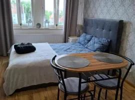 Kameralny Apartament w Centrum