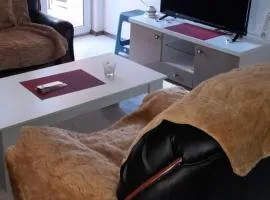 Apartment LUX