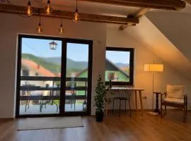 Dana apartment with Garden near Tara National Park