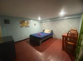 Crocodile Inn Island Garden City of Samal
