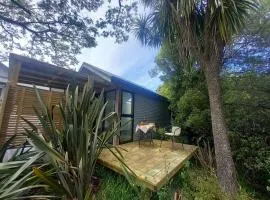 Mapua Cabbage Trees