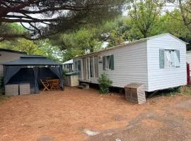 Mobile Home WT 1906