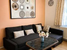 Apartmán Jáchymov Krušné hory