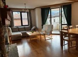 Honey Apartment - Spacious 2-Bedroom in Chepelare