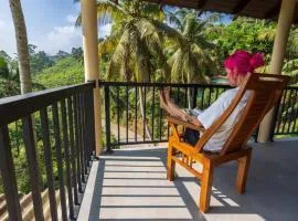Rainforest Hide View
