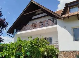 Badacsony Centrum-Badacsony Szíve Apartmanok